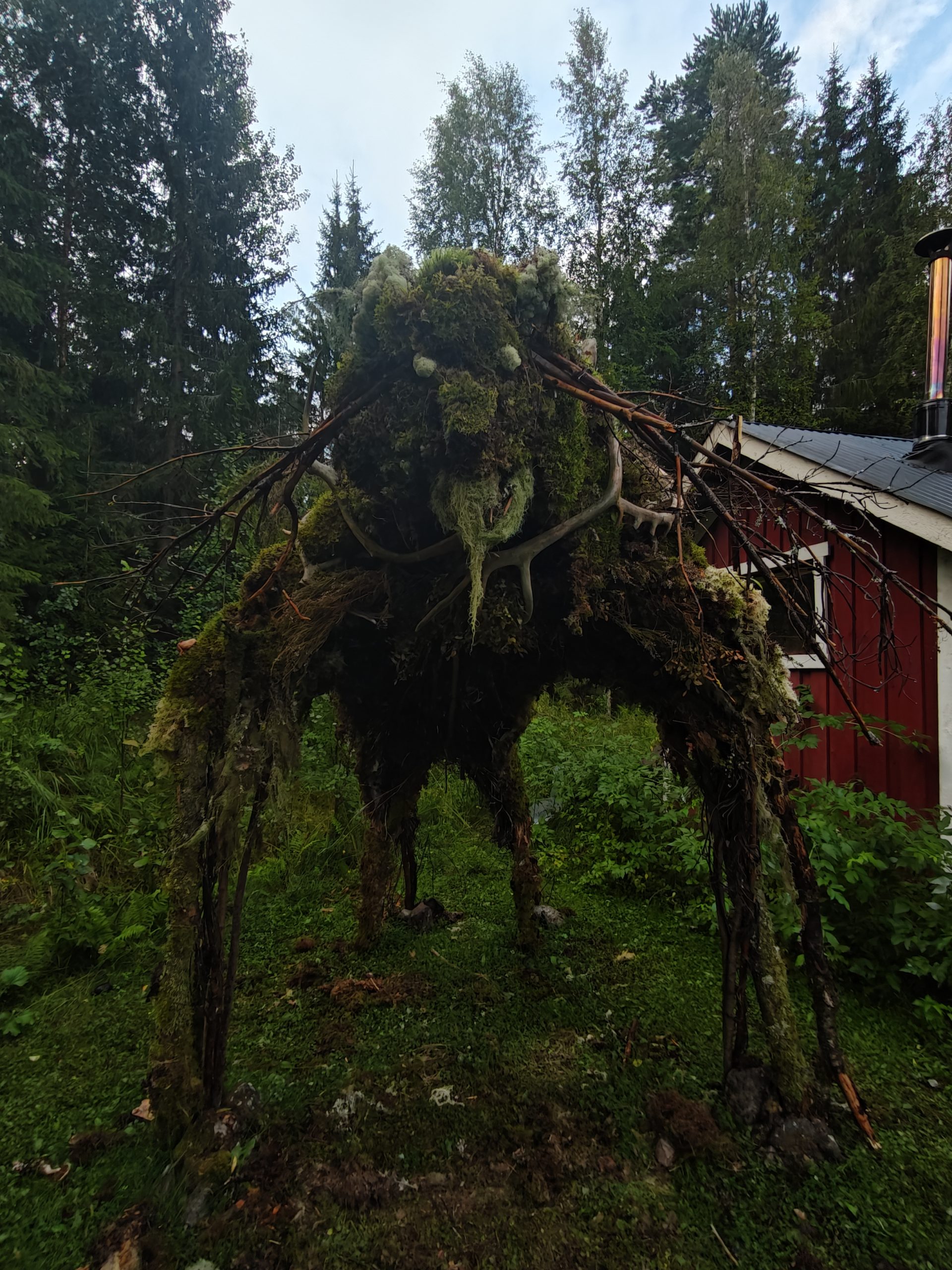 Ympäristö taide